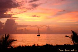 roatan, honduras. by Shawn Jackson 